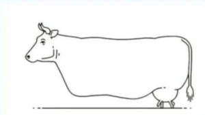 Screenshot 323 300x169