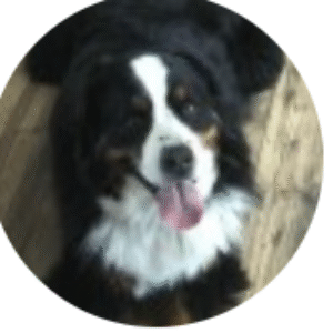 Profile photo of Laurie laykish