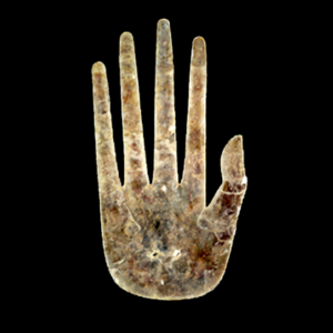 Profile photo of America Meredith